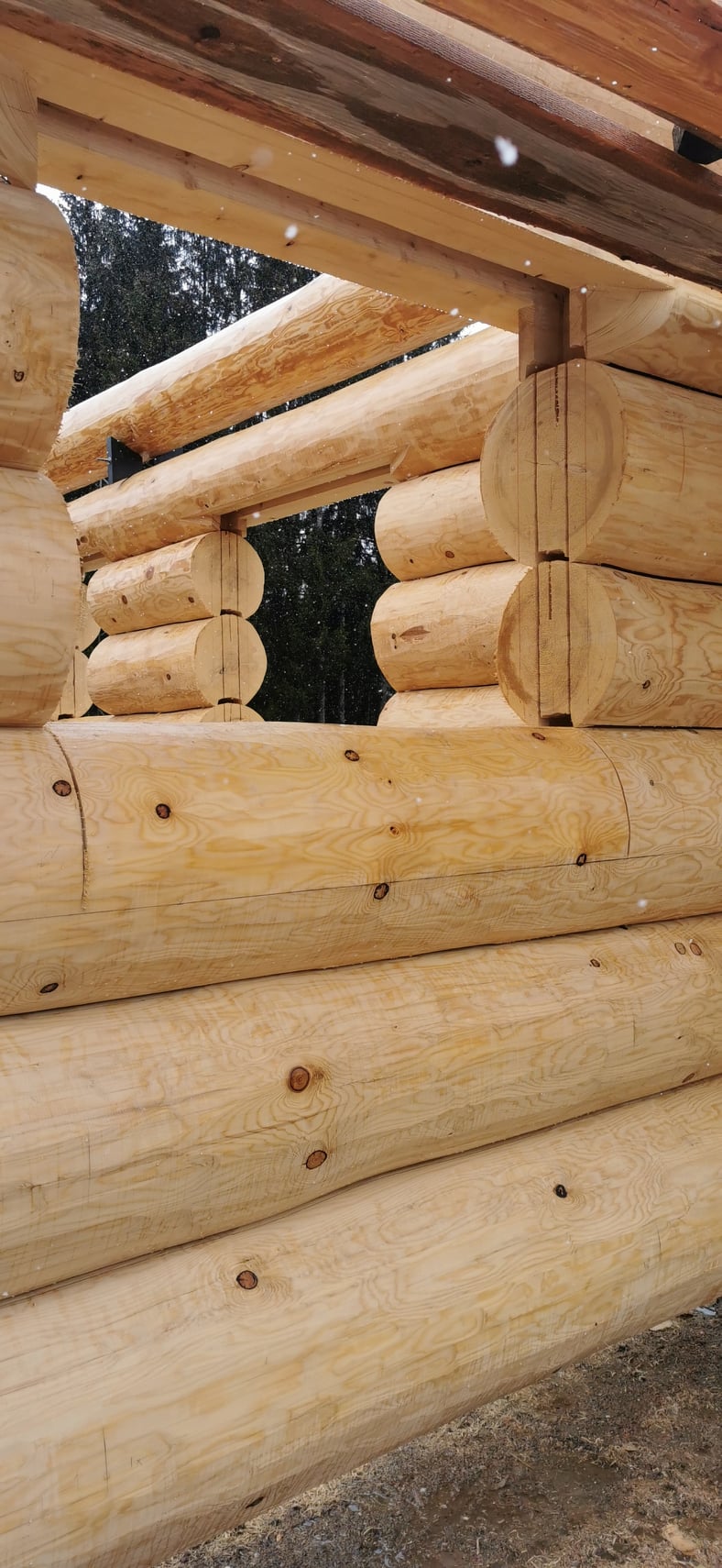 Sansin TIMBER-TEC C20